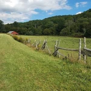 Meet your Posher, Travis